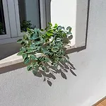 Casa Milly 아파트 올비아