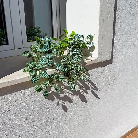 Casa Milly Apartment Olbia
