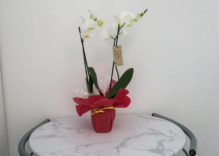 Апартаменты Casa Milly *